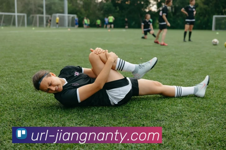 互动解说服务